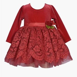 Iris & Ivy NWOT Long Sleeve Stretch Velvet & Lace Party Dress 18M